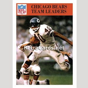 1966P Team Leaders Chicago Bears